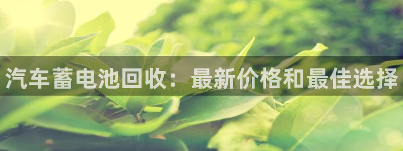 优发国际手机版客户端下载