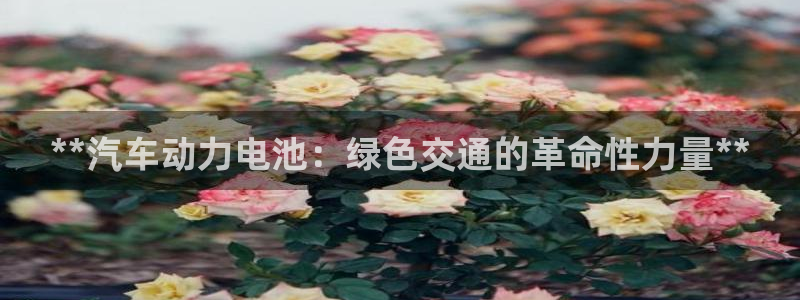 优发国际官网首页入口
