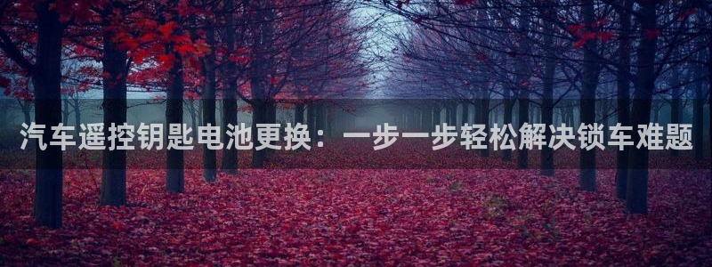 优发国际手机安装登录不了