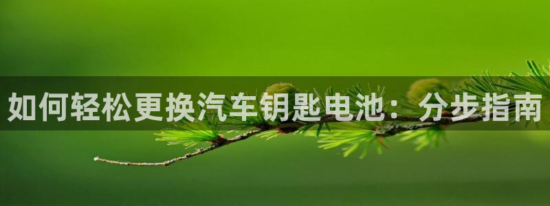 优发国际合并到哪里了