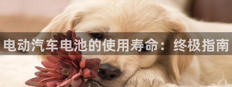 优发国际手机版下载官网