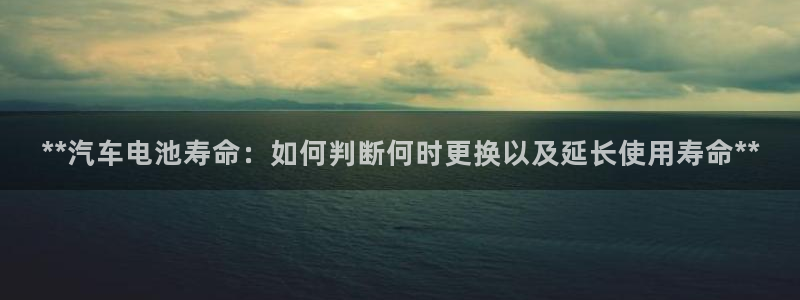 优发国际的官网是什么