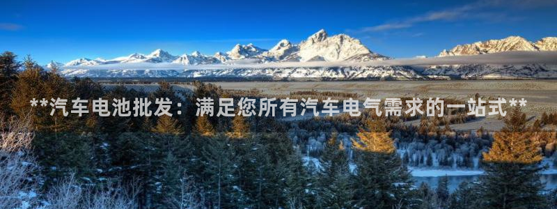 优发国际官网下载安装手机版