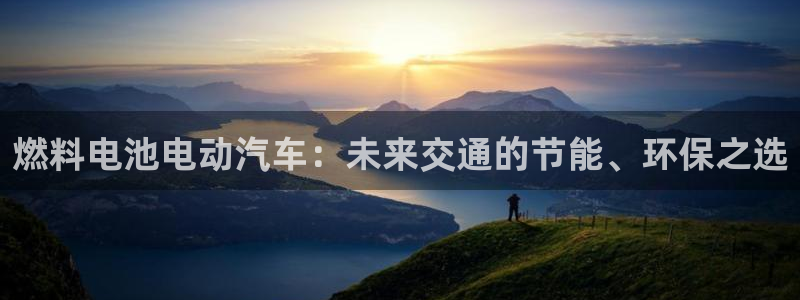 优发国际集团股份有限公司
