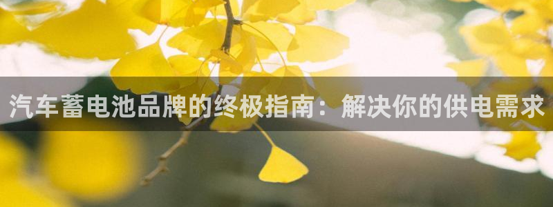 优发国际手机登录下载安装官网