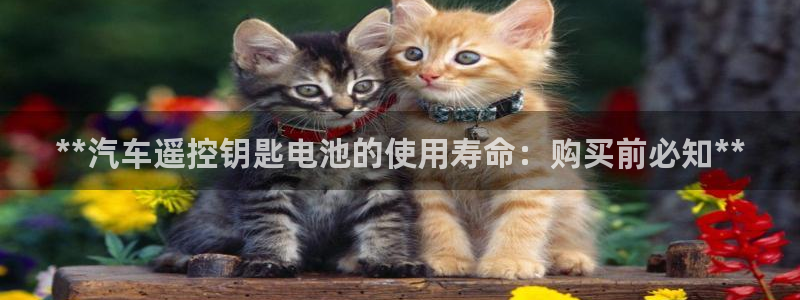 优发国际官网手机版app