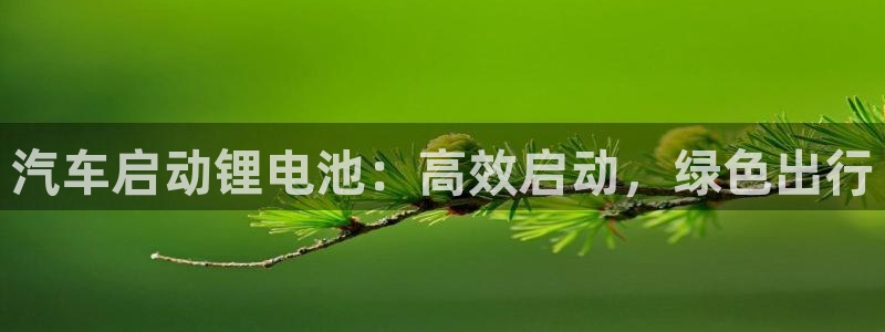 优发国际vip网址