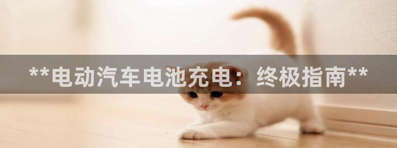 优发国际网官