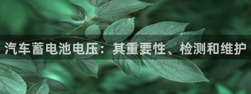 优发国际平台手机版下载官网