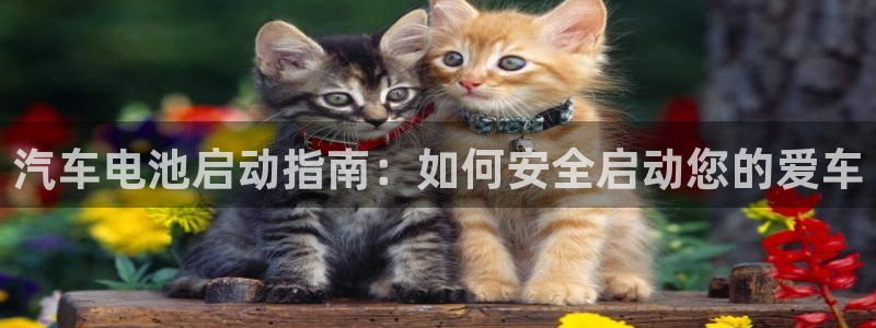 优发国际手机版下载安装