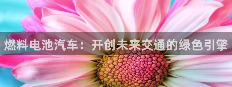 优发国际的官网是