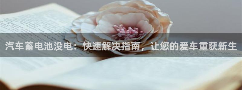 优发国际手机版唯一官网是什么