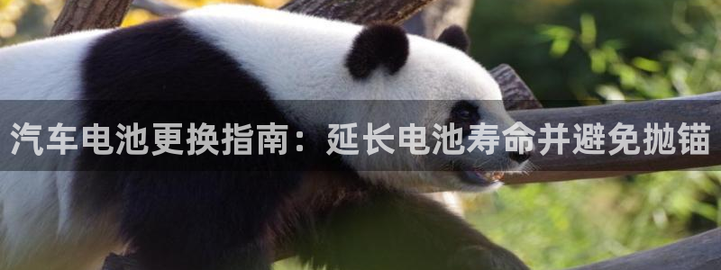 优发国际官网下载安装手机版