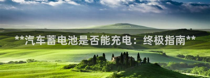优发国际是大平台吗是真的吗