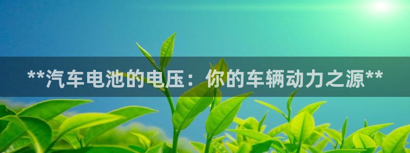 优发国际合并到哪里了啊