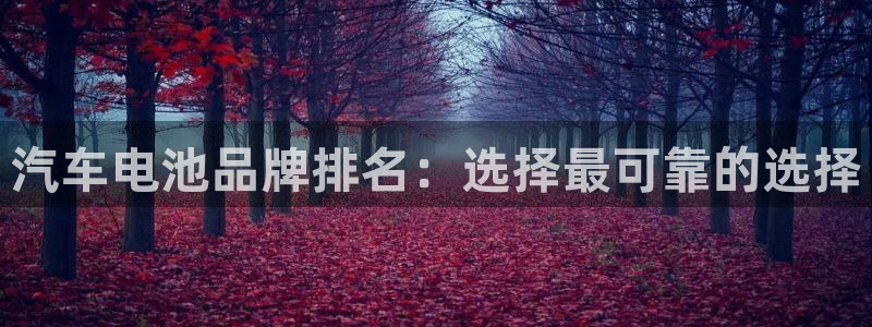 优发国际手机版