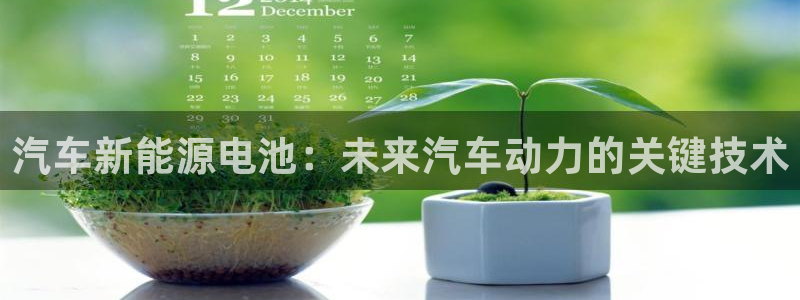 优发国际集团股份有限公司招聘