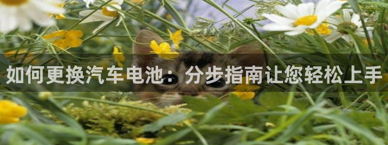 优发国际官网手机版app