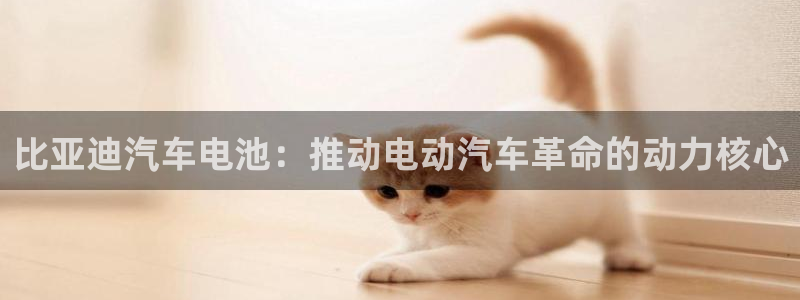 优发国际官方网手机版下载安卓