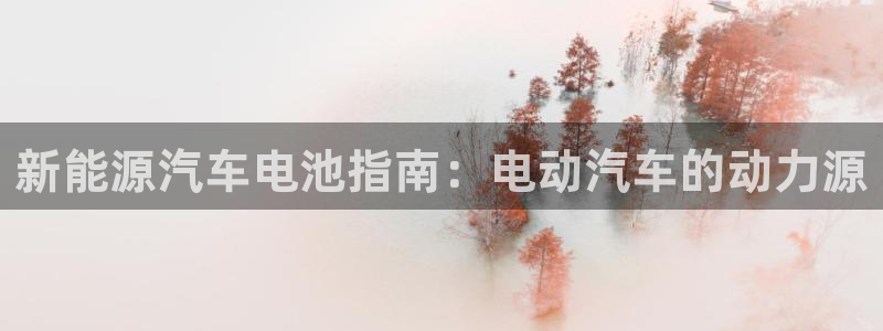 优发国际youfa966