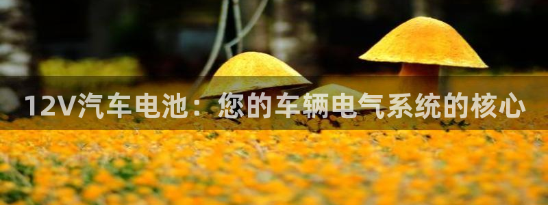 优发国际下载