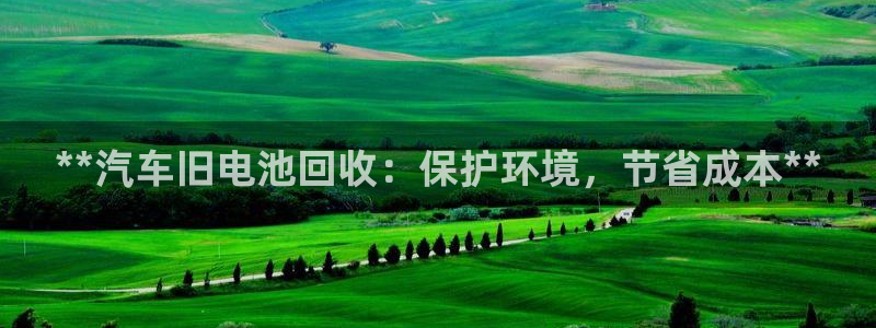 优发国际这个平台怎么样啊