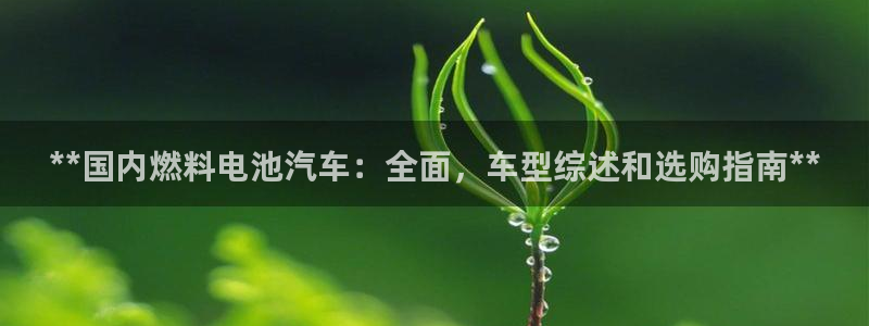 优发国际平台手机版下载安装