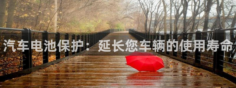 优发国际网官网17o8