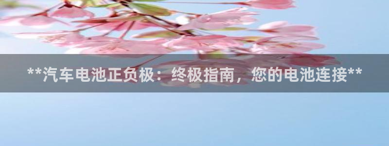 优发国际官网手机版下载安卓