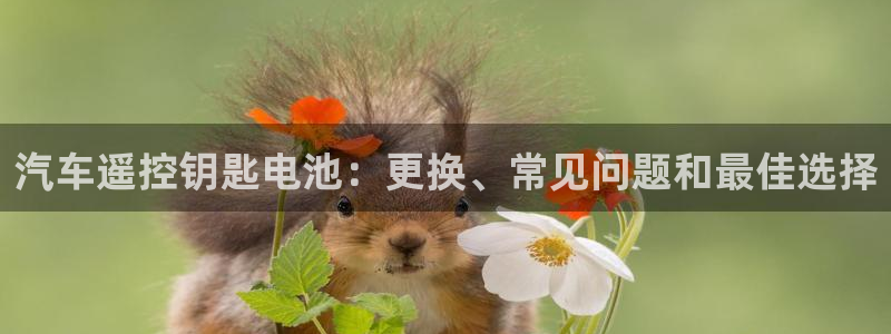 优发娱乐国际线上