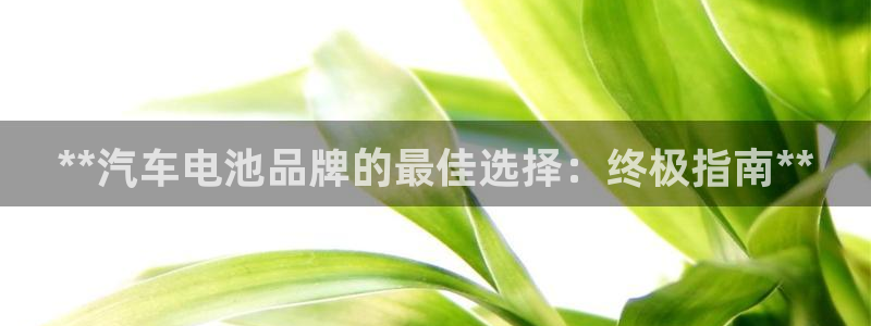 优发国际顶级