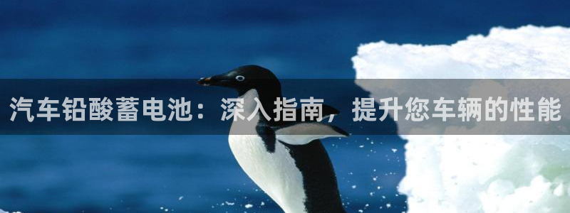优发国际集团股份有限公司官网