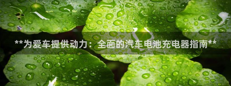 优发国际平台u8怎么样可靠吗