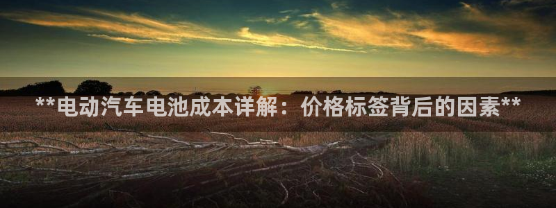 优发国际手机版网站下载