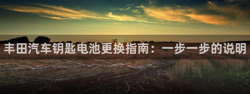 优发国际官网手机版入口