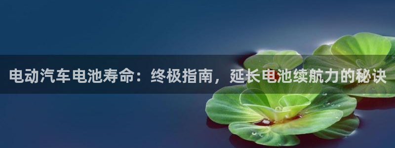 优发国际手机版客户端下载安装