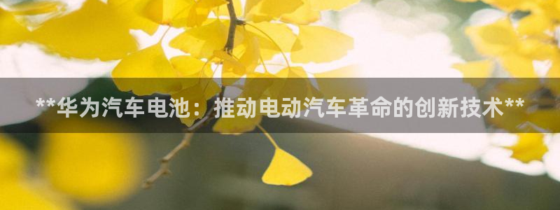 优发国际客服联系方式