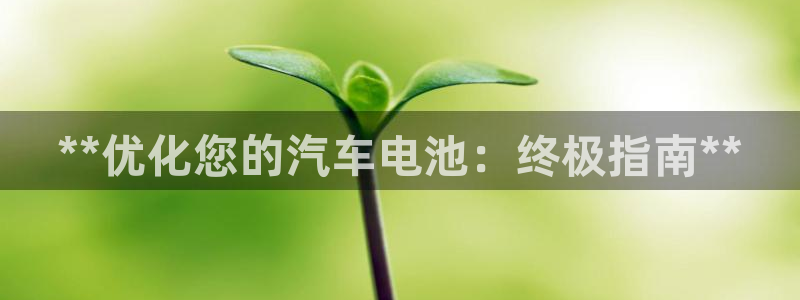 优发国际集团股份有限公司