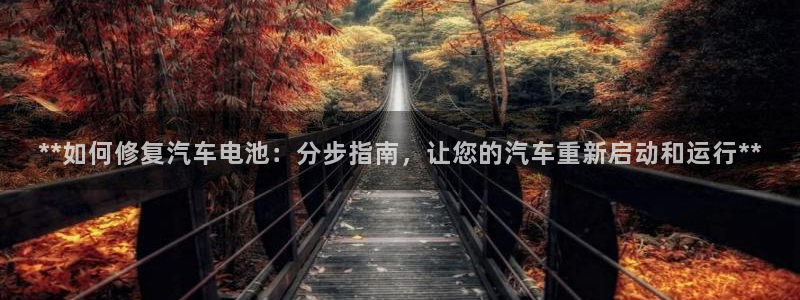 优发国际手机版客户端下载安装