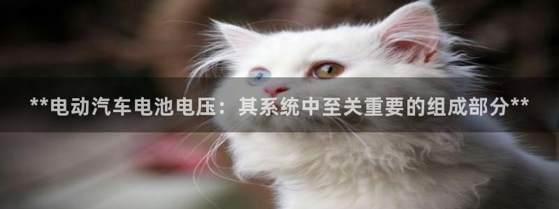 优发国际登录首页