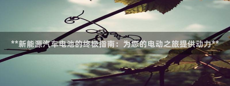 优发国际平台u8怎么样可靠吗