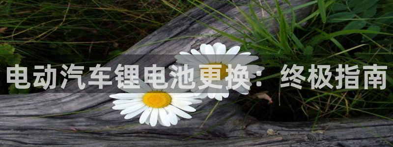 优发国际下载安装app