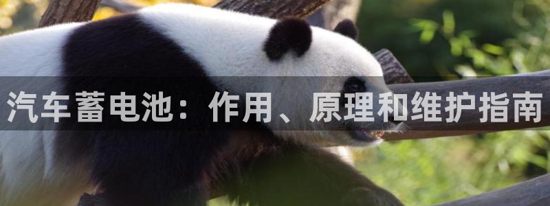 优发国际客服联系方式查询
