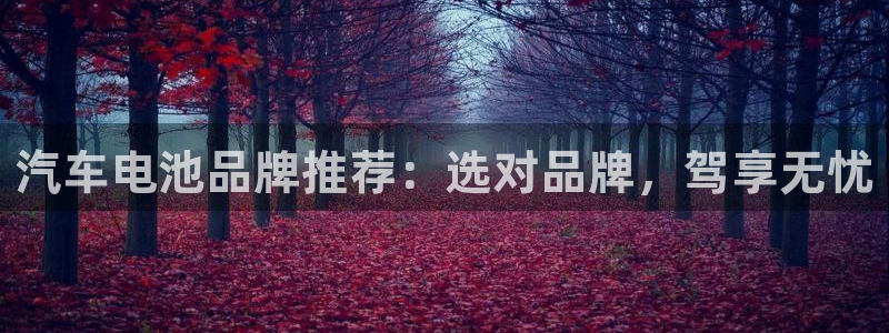 优发国际官网入口app下载