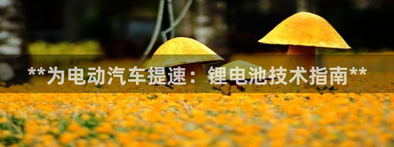 优发国际这个平台怎么样
