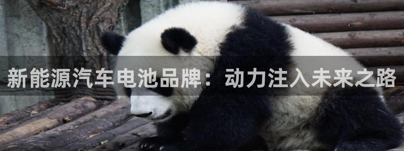 优发国际手机版网站登录