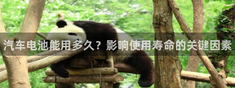优发国际平台