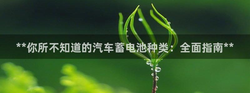 优发国际网官网