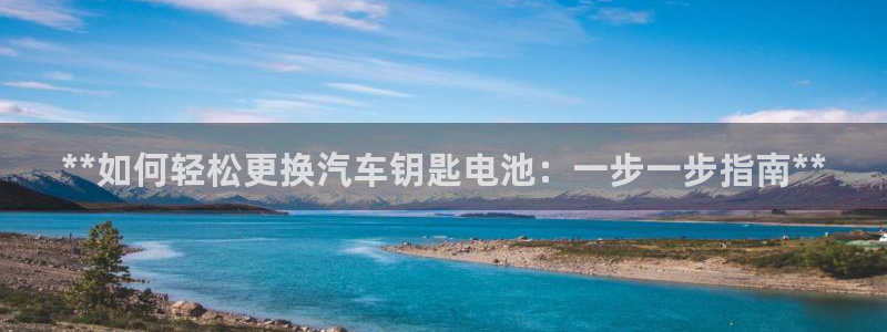 优发国际多少钱