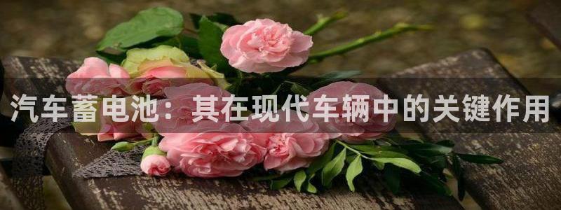 优发国际游戏17